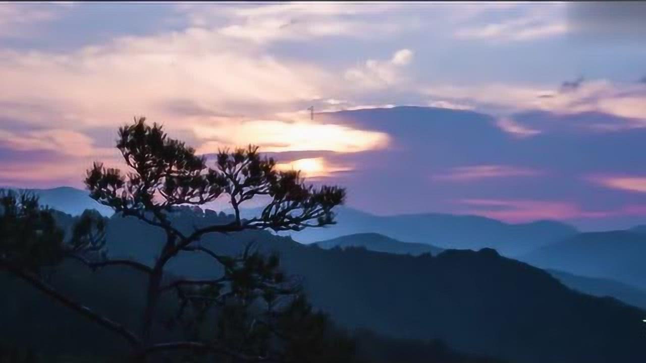 儿科负责人刘岩医生讲解“抽动症和多动症的区别”